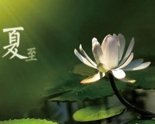 夏至節(jié)氣，廣西強壽藥業(yè)集團提醒您注意防暑降溫