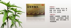 益智康腦丸治療什么病，益智康腦丸主治什么病