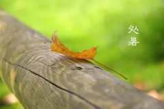 今日12時(shí)9分，迎來(lái)處暑節(jié)氣